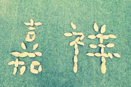 https://s1.res.jxfls.com/20200901/100724606.png