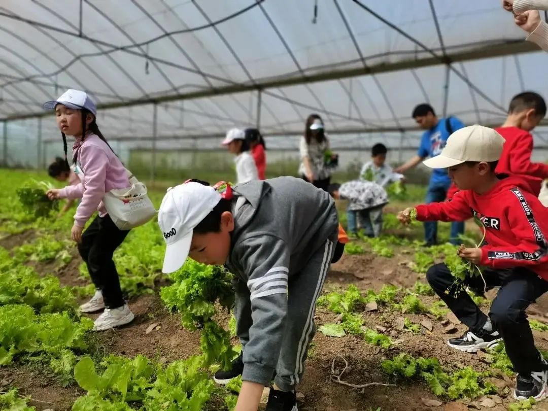 精彩嘉祥|这里的孩子 田可耕兮书可读