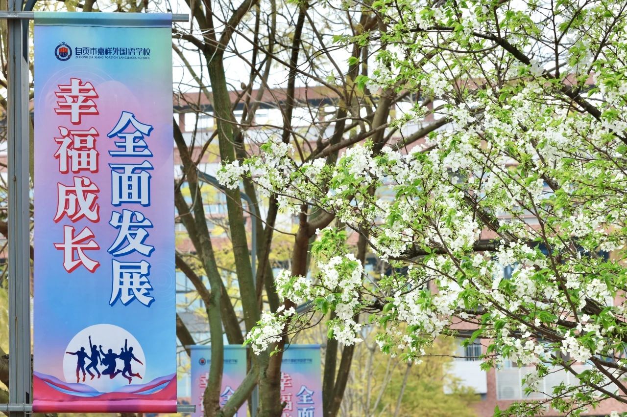 【嘉贡 · 招聘启事】虚位以待国家队、省队体育精英